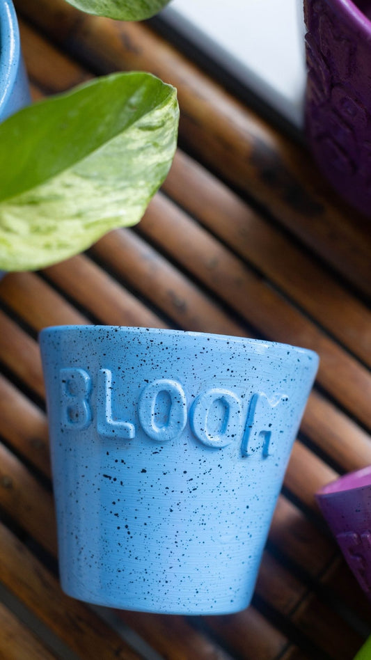 Bloom- Planter